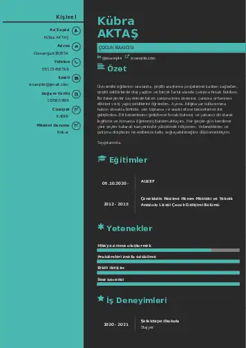 Çocuk Bakıcısı CV Örnekleri cv indir